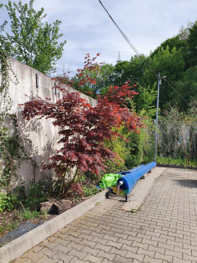 Pensiunea Roua Muntelui Brazesti Luaran gambar